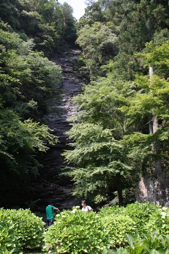 ６月２５日　四国撮影旅行　その２_c0020653_5515281.jpg