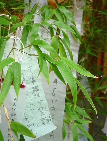 Japanese Ice OUCA ジャパニーズアイス櫻花。。。七夕 の 星に願いを。。* *。:☆.。† _a0053662_835445.jpg
