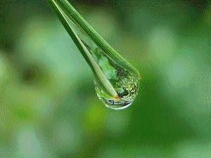 f0104569_04377.gif