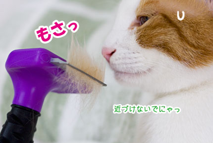 VSファーミネーター_a0119470_2223769.jpg