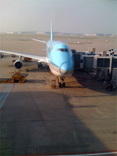 f0084772_19115227.gif