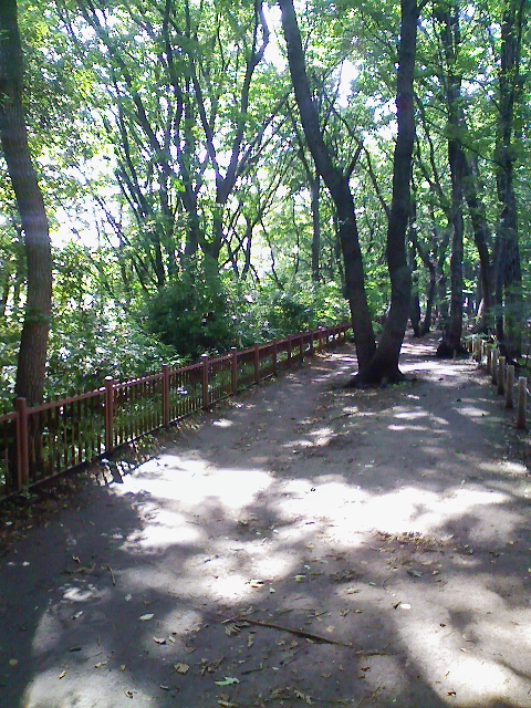 北山公園と小平グリーンロード_f0004076_0361718.jpg