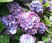 c0073178_2205363.jpg