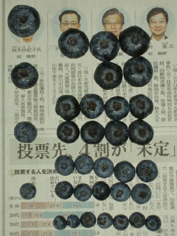 ブルーベリー協会サイズ規格 ブルーベリーの育て方 栽培 ブルーベリー ノート Blueberrynote