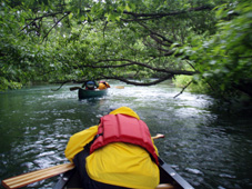 c0183880_23441088.jpg