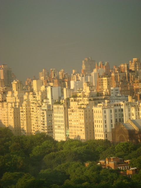 d0100880_10152341.jpg