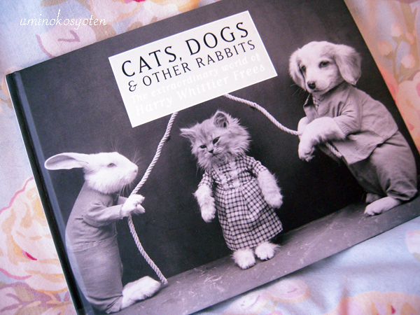 No.12「Cats, Dogs & Other Rabbits」　洋書_a0135581_995456.jpg