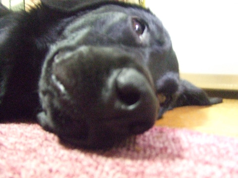 e0160787_201169.jpg