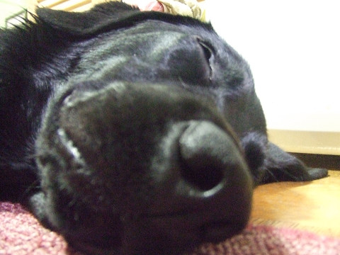e0160787_2013259.jpg