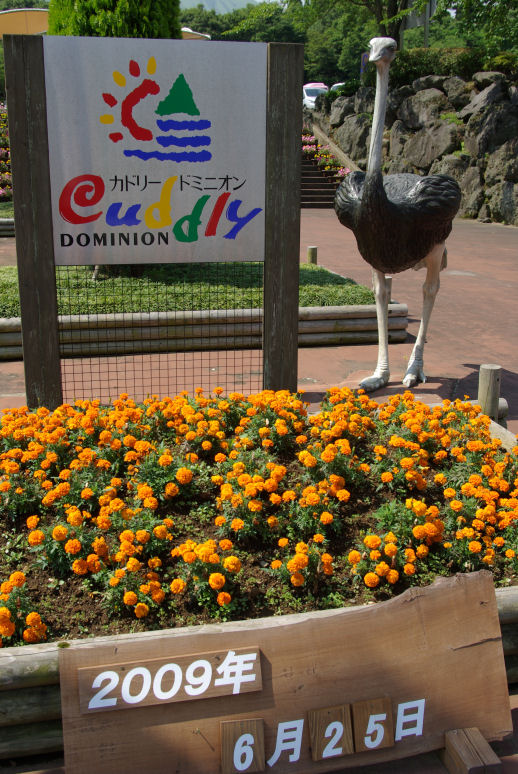 c0152288_8215775.jpg