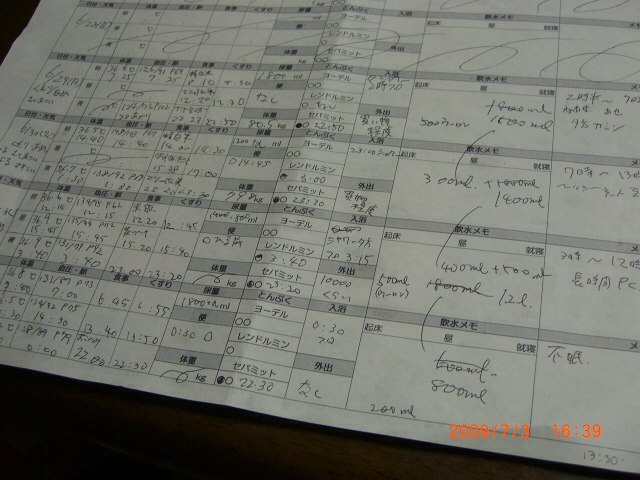 僕の体調記録簿(PDF) 追記:記入例_f0201488_16423468.jpg
