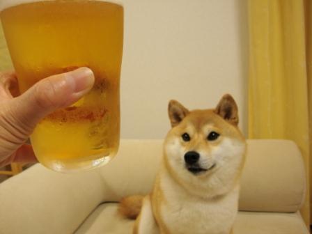 水の向こう_a0126590_22223484.jpg