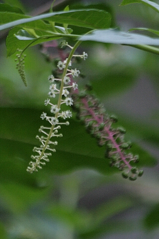 d0133693_23184588.jpg