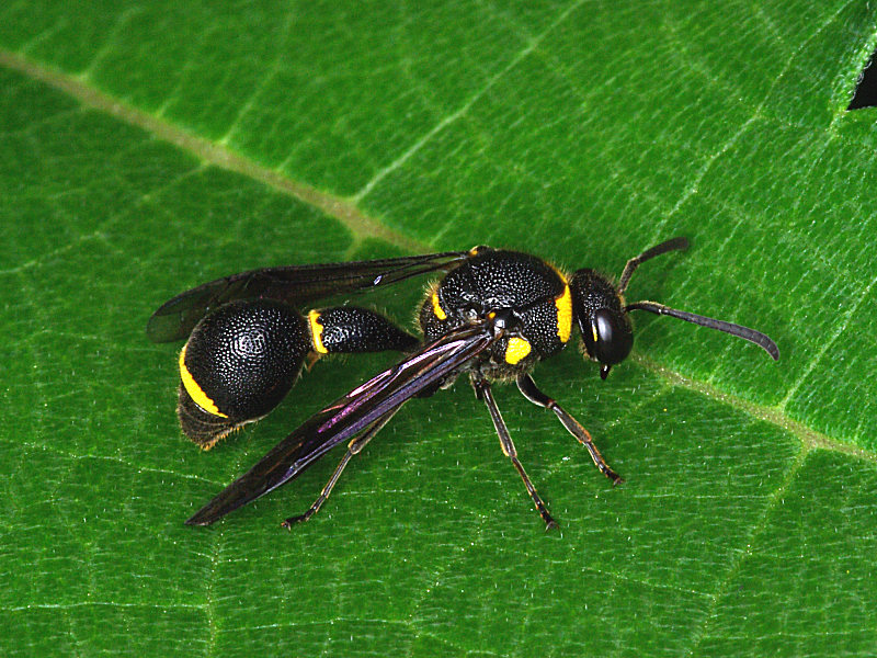f0204094_12262390.jpg