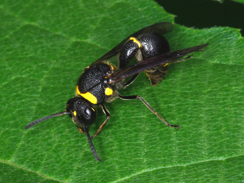 f0204094_1226426.jpg