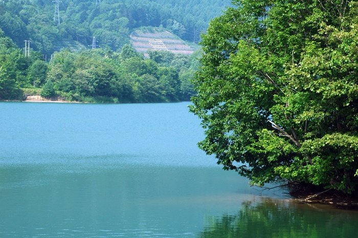 a0135000_2145730.jpg