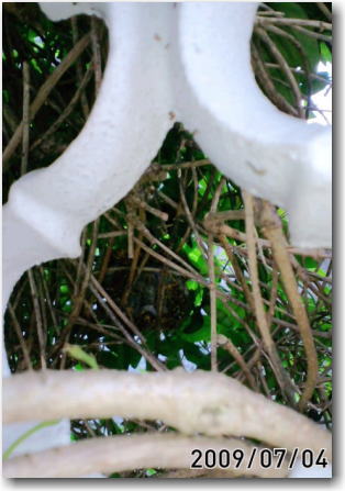 e0014000_9141618.jpg