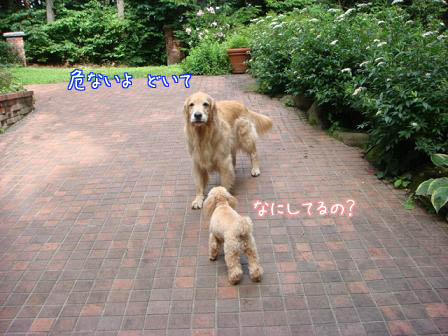 f0064906_1683959.jpg