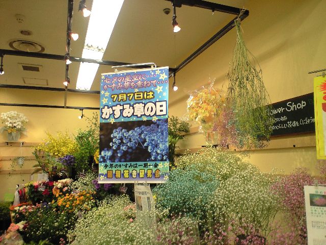 かすみ草フェア_d0099708_23363387.jpg