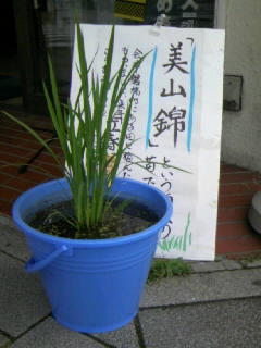 a0046113_1621918.jpg
