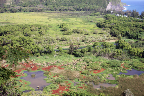 d0063314_0133690.jpg