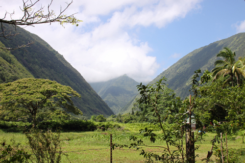 d0063314_013468.jpg