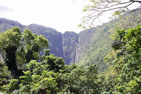 d0063314_026515.jpg