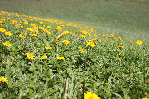 d0063314_027267.jpg