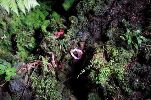 d0063314_051025.jpg