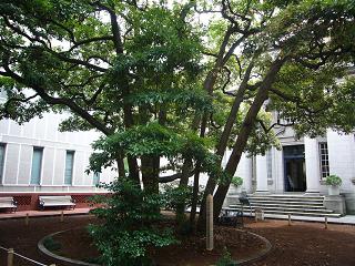 c0192215_2121447.jpg