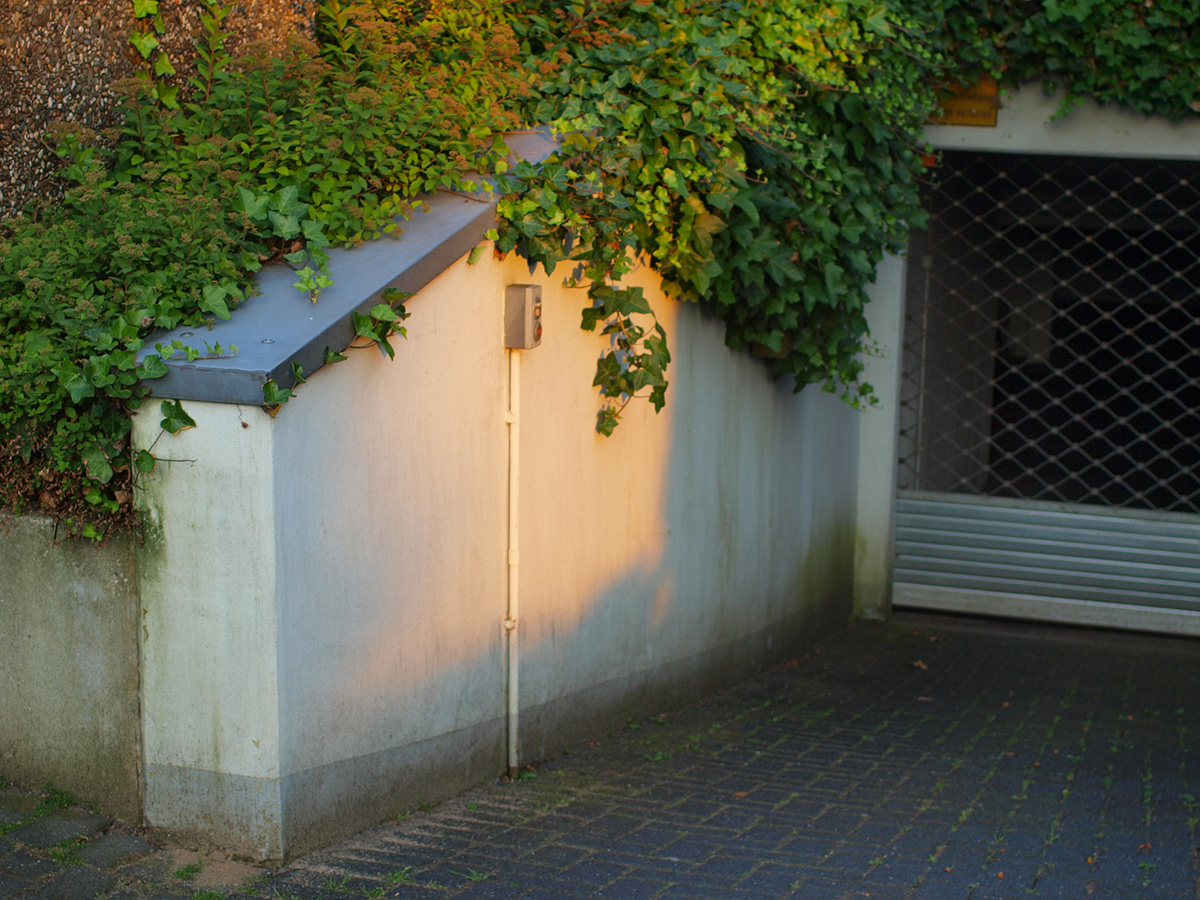 暮れない夏の夜_b0148617_0504593.jpg
