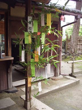 清水園の竹_e0135219_147302.jpg