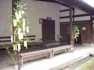 清水園の竹_e0135219_1482957.jpg