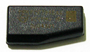 e0008322_1595589.jpg
