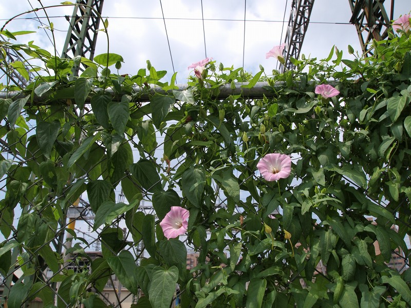 f0002946_12233533.jpg