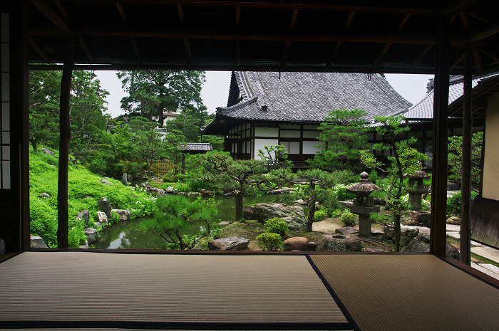 半夏生咲く庭 その1(建仁寺・両足院)_f0155048_1650899.jpg
