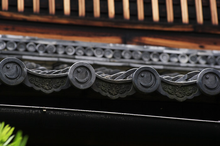 半夏生咲く庭 その1(建仁寺・両足院)_f0155048_16554090.jpg