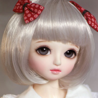 カスタムハウスの子がやっと届きました！_c0031157_18404294.jpg