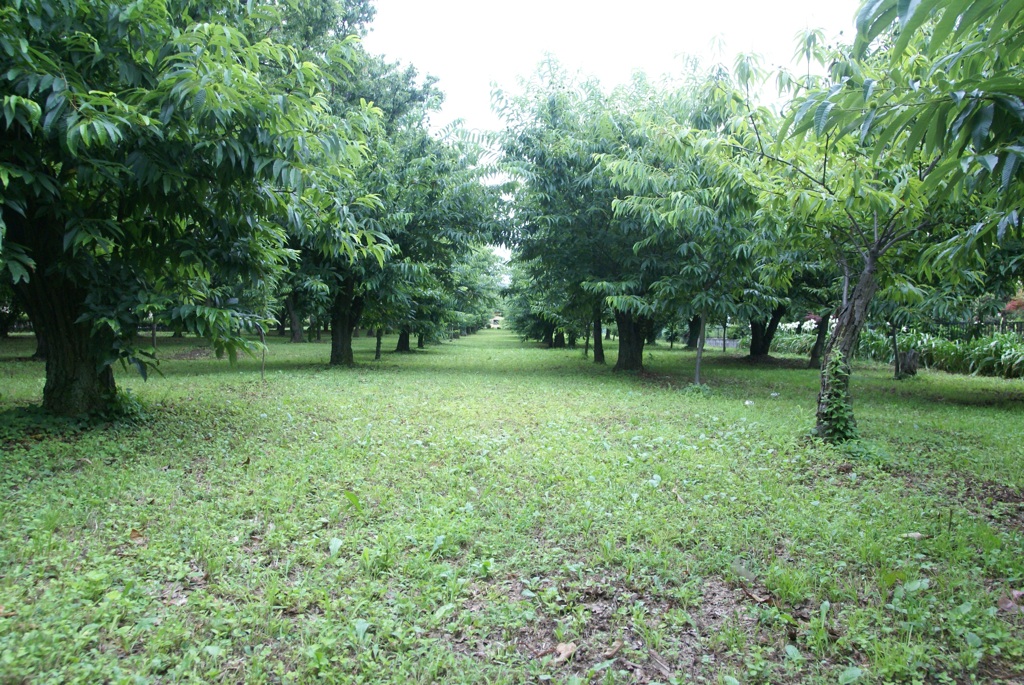 d0101857_3103979.jpg
