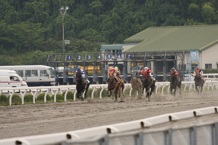 2009年6月26日（金） 高知競馬 4R D6 レース_a0077663_15585531.jpg