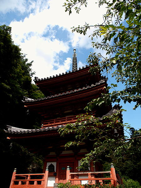 奈良：秋篠寺　そして宇治：三室戸寺_f0052269_1133679.jpg