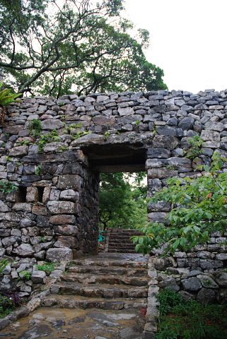 f0080385_847459.jpg