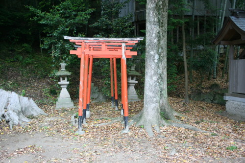 白川の大歳神社_b0118987_6404688.jpg