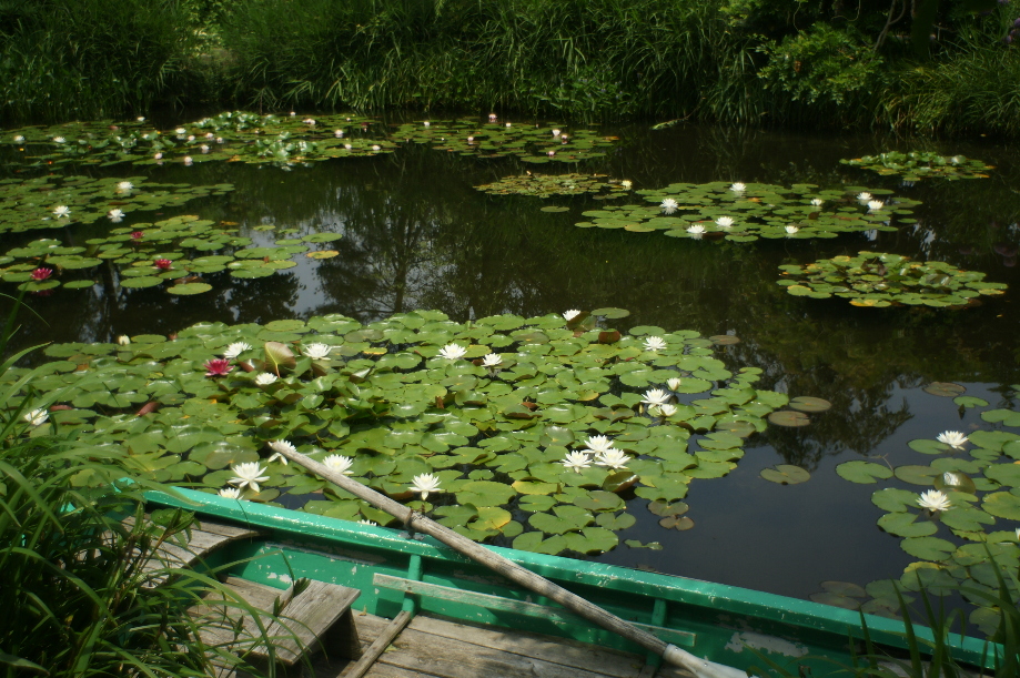 b0155395_22535751.jpg