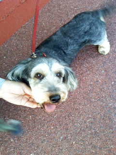 c0037701_23315054.jpg