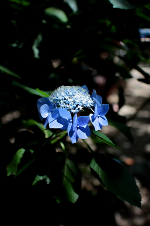 b0155903_10401727.jpg