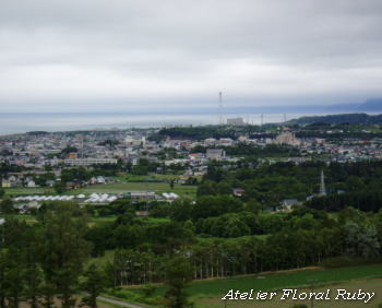 北海道旅行４日目　　苫小牧から五稜郭へ_d0001008_19382285.jpg