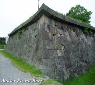 北海道旅行４日目　　苫小牧から五稜郭へ_d0001008_19392912.jpg