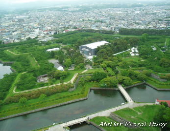 北海道旅行４日目　　苫小牧から五稜郭へ_d0001008_19412761.jpg