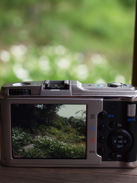 e0074308_20415810.jpg